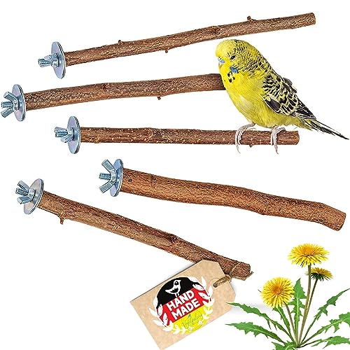 Vogelgaleria® 5 herrliche Natur Sitzstangen für Vögel wie Wellensittich, Nymphensittich, Kanarienvogel, Agaporniden | Naturholzstangen für den Vogel als wichtiges Vogelzubehör im Vogelkäfig | Zubehör Vogelgaleria® 5 herrliche Natur Sitzstangen für Vögel wie Wellensittich, Nymphensittich, Kanarienvogel, Agaporniden | Naturholzstangen für den Vogel als wichtiges Vogelzubehör im Vogelkäfig | Zubehör von Vogelgaleria