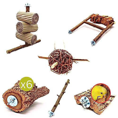 Vogelgaleria® 6 teiliges Schredder und Knabber Set für Vögel | Basisausstattung für Vogelhalter | Wellensittich Spielzeug | Vogelspielzeug Nymphensittich Vogelgaleria® 6 teiliges Schredder und Knabber Set für Vögel | Basisausstattung für Vogelhalter | Wellensittich Spielzeug | Vogelspielzeug Nymphensittich von Vogelgaleria