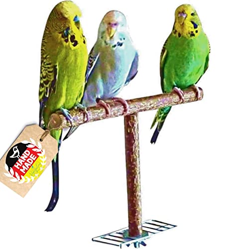Vogelgaleria® Anflughilfe/Anflugstange für den Vogelkäfig oder die Voliere. Tolles, handgemachtes Vogelzubehör aus bestem Naturholz von Vogelgaleria