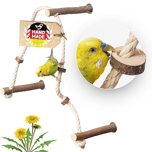 Vogelgaleria® Aufregendes Sitzseil BZW. Kletterseil mit 3 leckeren, verschiebbaren Naturholz Sitzstangen für Wellensittich, Nymphensittich & Co. für Vogelkäfig von Vogelgaleria