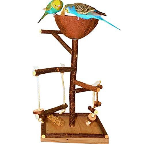 Vogelgaleria® Herrlicher Vogelspielplatz aus Naturholz. EIN Kletterspielplatz mit vielen Sitzstangen und Futternapf aus Kokos | Wellensittich Spielzeug Vogelgaleria® Herrlicher Vogelspielplatz aus Naturholz. EIN Kletterspielplatz mit vielen Sitzstangen und Futternapf aus Kokos | Wellensittich Spielzeug von Vogelgaleria