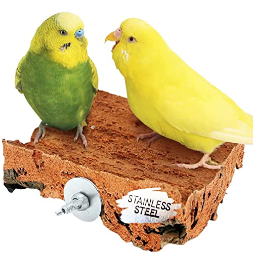 Vogelgaleria® Korksitzbrett 10x10 cm mit Edelstahl Halterung für den Vogelkäfig | Sitzbrett für Wellensittich, Nymphensittich und Papagei zum Schreddern Vogelgaleria® Korksitzbrett 10x10 cm mit Edelstahl Halterung für den Vogelkäfig | Sitzbrett für Wellensittich, Nymphensittich und Papagei zum Schreddern von Vogelgaleria