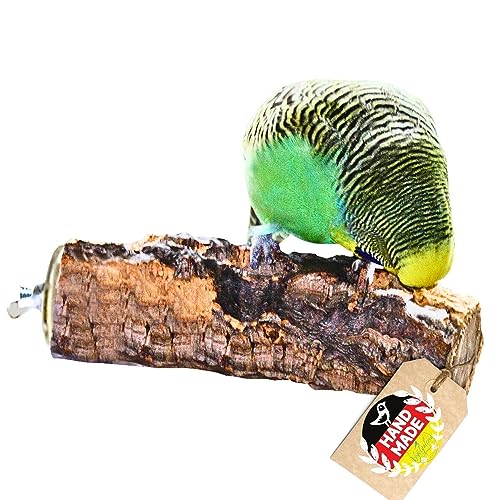 Korksitzstange Wellensittich Nymphensittich 10cm| Kork Sitzstange mit herrlicher Korkrinde zum Sitzen und Knabbern | Vogelsitzstange und Vogel Stange für Krallenpflege | Korksitzbrett von Vogelgaleria