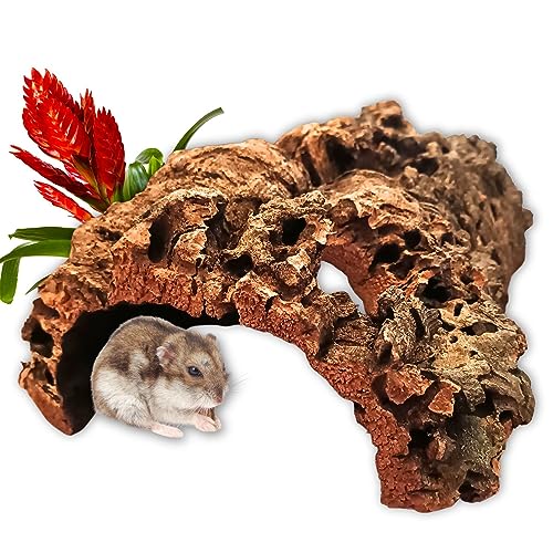 Korktunnel 30cm aus natürlicher, gereinigter Korkrinde mit 2 Löchern - die besonders beliebte Korkröhre für Kleintiere und Reptilien - Terrarium Deko Höhle von Vogelgaleria