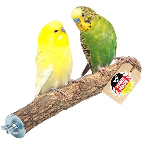 Vogelgaleria® Leckere Korksitzstange Wellensittich Nymphensittich 20cm| Kork Sitzstange mit Korkrinde zum Sitzen und Knabbern | Vogelsitzstange und Vogel Stange für Krallenpflege | Korksitzbrett Vogelgaleria® Leckere Korksitzstange Wellensittich Nymphensittich 20cm| Kork Sitzstange mit Korkrinde zum Sitzen und Knabbern | Vogelsitzstange und Vogel Stange für Krallenpflege | Korksitzbrett von Vogelgaleria