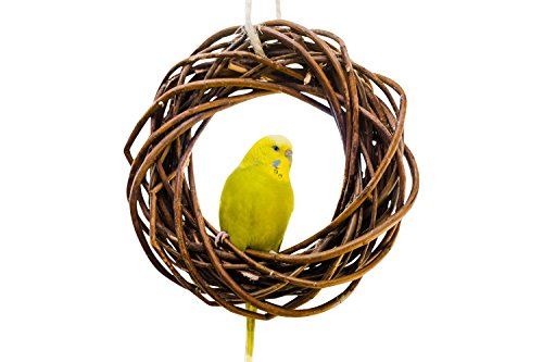 Vogelgaleria® Leckerer Weidenring zum Knabbern für Wellensittich, Nymphensittich & Co.; Weidengeflecht. Vogelspielzeug für die Voliere oder den Vogelkäfig Wellensittich. Vogelspielplatz zum Aufhängen von Vogelgaleria