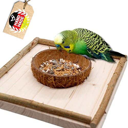 Vogelgaleria® Sitzbrett mit Kokosschale Futternapf zum Herausnehmen. Pfiffiges Vogelspielzeug und Futterbrett für Wellensittich, Nymphensittich von Vogelgaleria