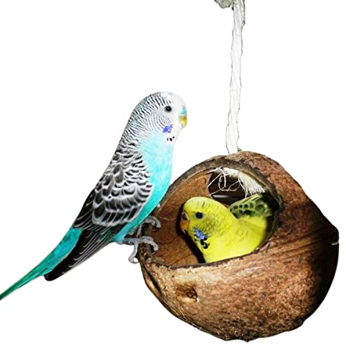 Schaukel für Wellensittich & Nymphensittich | Vogelschaukel Kokosnuss | Wellensittich Zubehör von Vogelgaleria