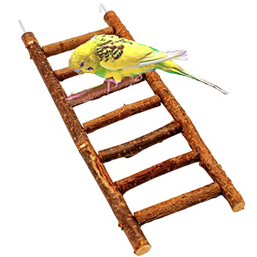 Tolle VogelLeiter aus leckerem Naturholz | Leiter ohne Klebstoff | Wellensittich Spielzeug | Ideal für Wellensittich, Nymphensittich, Kanarienvogel von Vogelgaleria