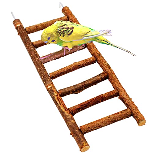Vogelgaleria® Tolle Vogelleiter aus leckerem Naturholz | Leiter ohne Klebstoff | Wellensittich Spielzeug | Ideal für Wellensittich, Nymphensittich, Kanarienvogel von Vogelgaleria