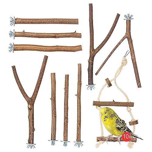 Vogelgaleria® 10er Natur Sitzstangen Set für Vögel inkl. GRATIS Schaukel und 3 Y Stangen für Wellensittich, Nymphensittich & Co von Vogelgaleria