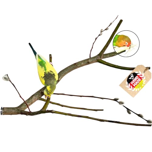 Vogelgaleria® Weidenast verästelte Sitzstange für Wellensittiche aus Weide – Ideal zum Knabbern und Klettern von Vogelgaleria