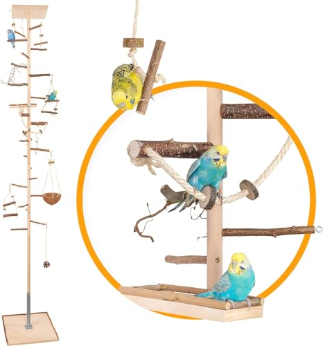 Vogelgaleria® Zimmerhoher Vogel-Kletterbaum 289-291 cm HiFly Medio mit Naturholz-Sitzstangen Vogelspielzeug Vogelschaukel Vogelspielplatz Freisitz Freiflug Landeplatz für Wellensittich Nymphensittich von Vogelgaleria