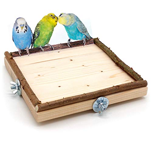 Vogelgaleria® Eck Sitzbrett 20x20cm mit Natur Holz Bordüre für Vögel wie Nymphensittich Wellensittich Kanarien etc | Bestes Käfig Zubehör Vogelsitzbrett Sitzbrett inkl. Befestigungsmaterial Vogelgaleria® Eck Sitzbrett 20x20cm mit Natur Holz Bordüre für Vögel wie Nymphensittich Wellensittich Kanarien etc | Bestes Käfig Zubehör Vogelsitzbrett Sitzbrett inkl. Befestigungsmaterial von Vogelgaleria