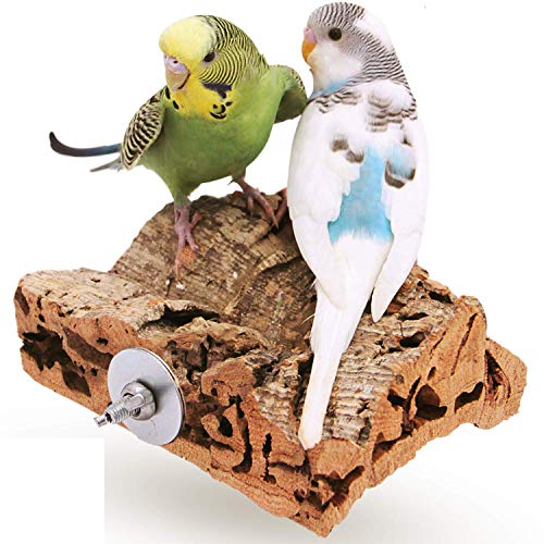 Vogelgaleria Korksitzbrett 10x10cm für Wellensittich, Nymphensittich zum Knabbern und Sitzen| Handgemachtes Vogelzubehör aus Deutschland, Sitzbrett für Vögel von Vogelgaleria