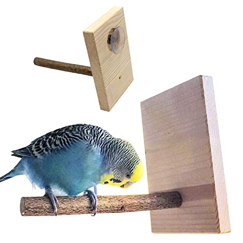 Natur Sitzstange mit Saugnapf als Anflugstange im Wohnzimmer | Lieblingsplatz für Wellensittich und Nymphensittich | Sitzstange am Fenster | Original Vogelgaleria® Produkt von Vogelgaleria