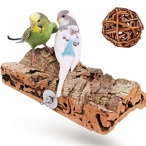 Vogelgaleria® Premium Korksitzbrett für Vögel wie Wellensittich Nymphensittich & GRATIS Knabberball | EIN Sitzbrett aus Kork sollte als Zubehör in jeden artgerecht bestückten Käfig |20x10cm groß Vogelgaleria® Premium Korksitzbrett für Vögel wie Wellensittich Nymphensittich & GRATIS Knabberball | EIN Sitzbrett aus Kork sollte als Zubehör in jeden artgerecht bestückten Käfig |20x10cm groß von Vogelgaleria