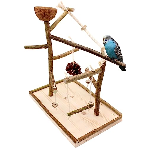 Vogelgaleria Luxus Vogelspielplatz aus Natur Holz mit Abnehmbarer Futterschale | Ideales Spielzeug bei Freiflug für Wellensittich Nymphensittich | Vogelspielzeug von Vogelgaleria