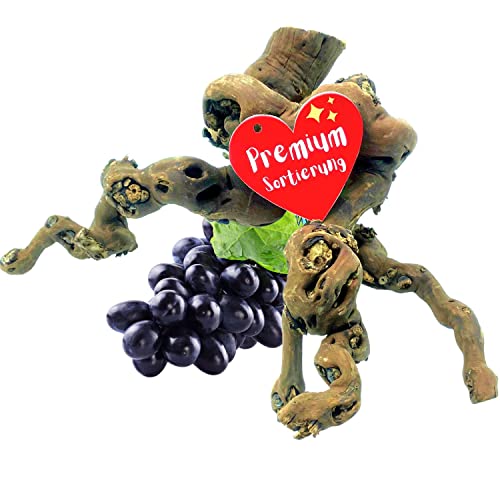 Vogelgaleria® Weinrebe Wurzel für Terrarium - extra handverlesene Unikate, schonend gereinigt & holzwurmfrei - Terrarium Deko f. Schlangen, Gecko, Schildkröten von Vogelgaleria