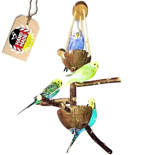 Vogelgaleria® Vogelspielplatz mit Sitzstangen aus Naturholz und zwei Futterschalen aus Kokosnuss | Futterplatz und Spielplatz für Vögel - Vogelzubehör und Vogelspielzeug für Vogelkäfig Vogelvoliere Vogelgaleria® Vogelspielplatz mit Sitzstangen aus Naturholz und zwei Futterschalen aus Kokosnuss | Futterplatz und Spielplatz für Vögel - Vogelzubehör und Vogelspielzeug für Vogelkäfig Vogelvoliere von Vogelgaleria