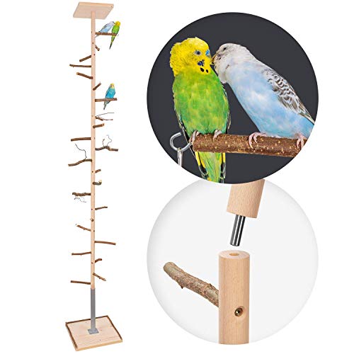 Zimmerhoher Vogel-Kletterbaum für glückliche Vögel | HiFly Basic mit Naturholz-Sitzstangen, Vogel-Spielzeug, Vogelspielplatz, Freisitz, Freiflug Landeplatz für Wellensittich, Nymphensittich & Co. von Vogelgaleria