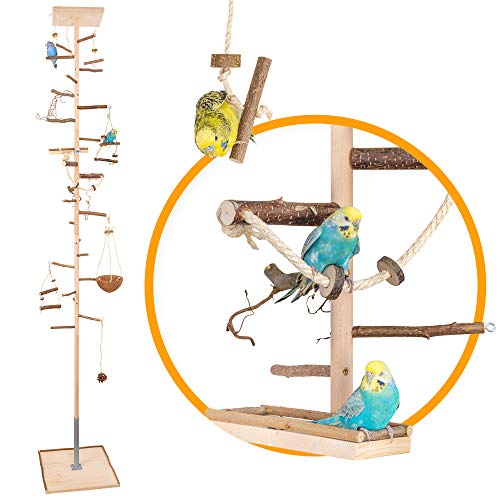 Zimmerhoher Vogel-Kletterbaum 196-198 cm HiFly Medio mit Naturholz-Sitzstangen, Vogel-Spielzeug, Vogelschaukel. Vogelspielplatz, Freisitz, Freiflug Landeplatz für Wellensittich, Nymphensittich, Co. von Vogelgaleria