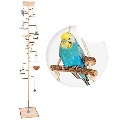 Zimmerhoher Vogel-Kletterbaum 208-210 cm HiFly Medio mit Naturholz-Sitzstangen, Vogel-Spielzeug, Vogelschaukel. Vogelspielplatz, Freisitz, Freiflug Landeplatz für Wellensittich, Nymphensittich, Co. von Vogelgaleria