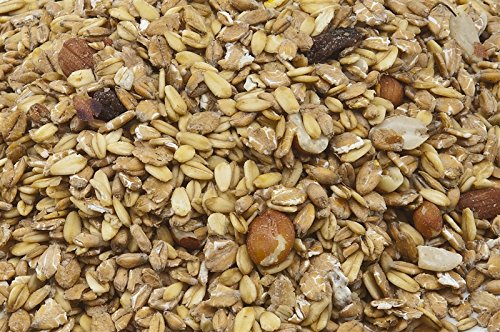 25 kg Fettfutter Wildvogelfutter Ganzjahresvogelfütterung 25 kg Fettfutter Wildvogelfutter Ganzjahresvogelfütterung von Vogelglück