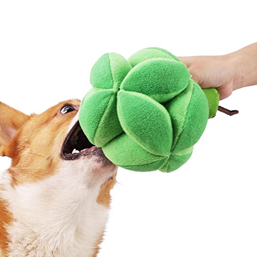 Voiakiu Brokkoli-Hundeleckerli-Spielzeug | Süßer Leckerli-Ball in Brokkoli-for, sicher für Haustiere zum Lecken oder Schnüffeln | Treat Dispensing Dog Snuffle Leckspielzeug für Welpen, mittelgroße von Voiakiu