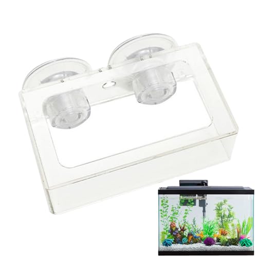 Fischfuttermittel, Garnelenfuttergericht,Quadratfutterschale mit Saugnapfbecher | Wiederverwendbare Aquariumversorgung, rotierende langsame Vorschubplatte für Guppy, Betta von Voihamy