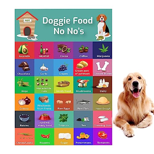 Voihamy Liste sicherer Hundefutter,Liste Hundefutter | Magnet-Ratgeber für sicheres Hundefutter mit Bildern | Tragbare Gesundheitsriegel für Hunde, Tabelle mit Nahrungsmitteln, die Hunde Nicht Essen von Voihamy