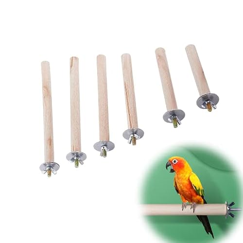 Vokowin 6 Stück Sittiche Sitzstange Vogelständer Naturholz Plattform Käfig Zubehör Sittiche Nymphensittiche Ständer Sittiche Vogel Papagei Barsch Ständer Set Holz Pfote Schleifen (K198-6) von Vokowin