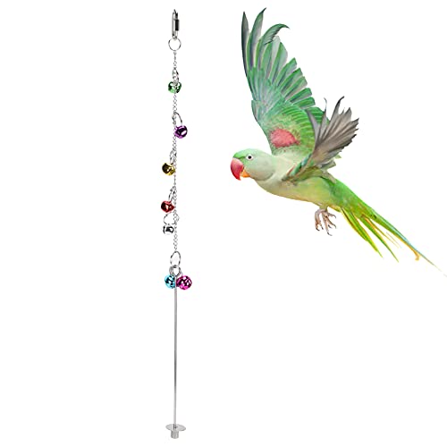 Birds Feeder Toy, Gemüsestockhalter Papageien Nahrungssuche Spielzeug für Vögel von Voluxe