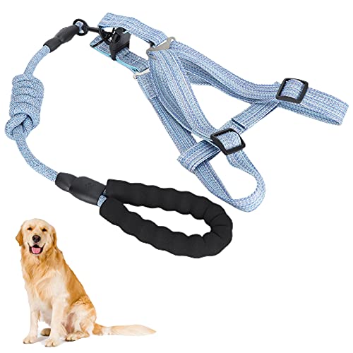 Hundegeschirr, Walking Pet Harness Polyester Blau mit Leine für Citizen für Spaziergänge mit dem Hund(XL (Suitable for 45-60 kg)) von Voluxe
