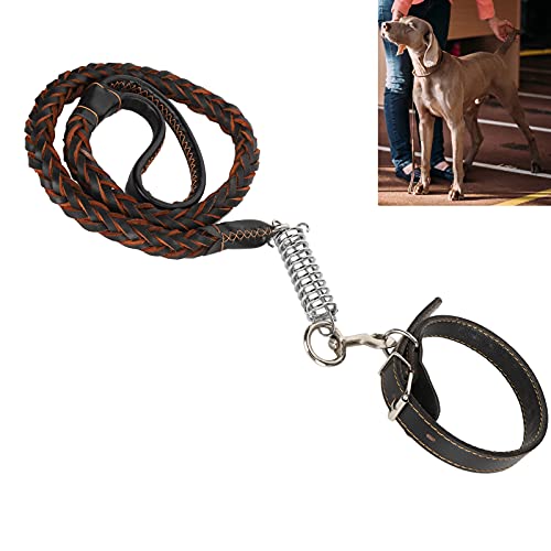 Voluxe Hundehalsbänder und Leinen, Hundehalsband Einfach und praktisch Exquisite Verarbeitung für den täglichen Bedarf von Haustieren für die Tierpflege zum Füttern von Haustieren für(Black) von Voluxe