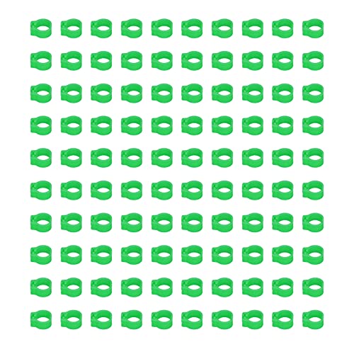 Voluxe Taubenbeinringe, 0,51x0,47x0,20in Taubenfußring zur Identifizierung und Markierung von Tauben(Grün) von Voluxe