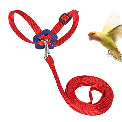 Vogelgeschirr für Outdoor-Training, Vogelgeschirr Verstellbare Vögel Nylon-Anti-Biss-Seil für Papageien-Traktions-Brustgurt(red) von Voluxe