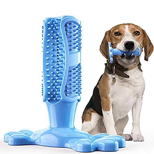 Volwco Hundezahnbürste Stick, Hunde Zahnbürste Zahnpflege Kauen Zähne Putzen Spielzeug für Hunde, Katzen, die Meisten Haustiere von Volwco