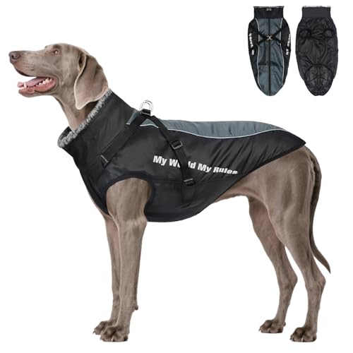Votoko Sport im Freien Wintermantel Hund, Reflektierender Haustier-Schneeanzug Hundemantel mit Geschirr, Hundemantel Warm mit Windschutz und Wasserdicht, Geeignet für MittelgroßE Hunde (XL) von Votoko