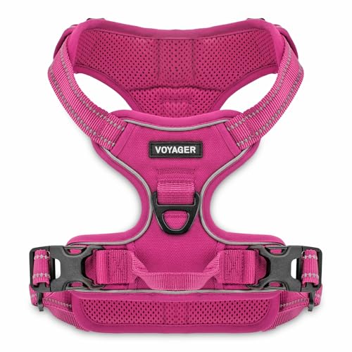 Voyager Hundegeschirr ohne Ziehen, für mittelgroße Hunde, doppelte Leinenbefestigungen, verstellbar, weich, Aber stark, mit 3M-Reflextechnologie, Fuchsia-Nylon, Größe M (Brustumfang: 50,8–63,5 cm) Voyager Hundegeschirr ohne Ziehen, für mittelgroße Hunde, doppelte Leinenbefestigungen, verstellbar, weich, Aber stark, mit 3M-Reflextechnologie, Fuchsia-Nylon, Größe M (Brustumfang: 50,8–63,5 cm) von Voyager