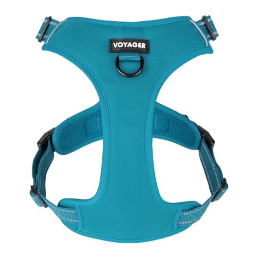 Voyager Von Best Pet Supplies – verstellbares Hundegeschirr mit 3M reflektierender Technologie, kein Ziehen, türkis, klein Voyager Von Best Pet Supplies – verstellbares Hundegeschirr mit 3M reflektierender Technologie, kein Ziehen, türkis, klein von Voyager