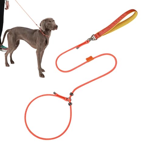 Vriusi Gehleine für Hunde, Trainingsleine für Hunde zum Spazierengehen – Gurt für Trainingsleine für Welpen 59 Zoll – bequemer Griff Sicherheitsgeschirr Vriusi Gehleine für Hunde, Trainingsleine für Hunde zum Spazierengehen – Gurt für Trainingsleine für Welpen 59 Zoll – bequemer Griff Sicherheitsgeschirr von Vriusi