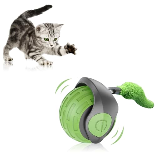 Vtizikl Elektrisches interaktives Katzenballspielzeug – Typ C Aufladung, zwei Geschwindigkeitsstufen, Katzenspielzeug für erwachsene Indoor-Katzen, langlebiges Spielen mit zufälliger Bewegung, Grün von Vtizikl