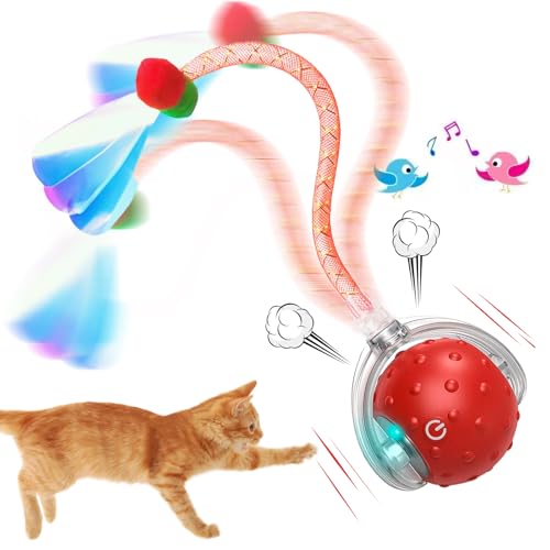 Vtizikl Interaktives Katzenspielzeug, elektrisch, automatisch, für den Innenbereich, unregelmäßiges Spielzeug, wiederaufladbar, stimuliert den Jagdinstinkt der Katzen, alle Böden und Teppiche Vtizikl Interaktives Katzenspielzeug, elektrisch, automatisch, für den Innenbereich, unregelmäßiges Spielzeug, wiederaufladbar, stimuliert den Jagdinstinkt der Katzen, alle Böden und Teppiche von Vtizikl