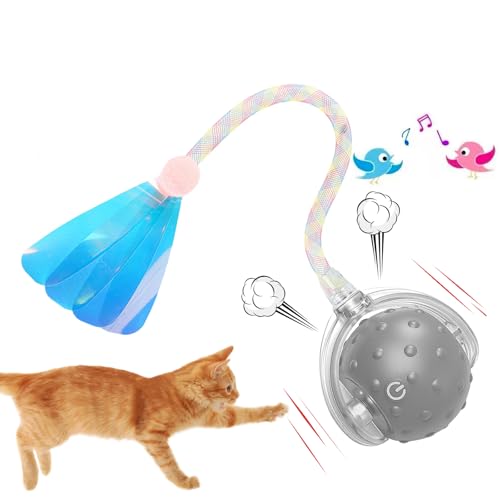 Vtizikl Katzenspielzeug Ball für Indoor-Katzen | 2025 Interaktives Katzenballspielzeug Smart mit Hindernisvermeidung, 3 Geschwindigkeitsmodi, Vogelzwitscher-Geräuschen & realistischer Libellenschwanz Vtizikl Katzenspielzeug Ball für Indoor-Katzen | 2025 Interaktives Katzenballspielzeug Smart mit Hindernisvermeidung, 3 Geschwindigkeitsmodi, Vogelzwitscher-Geräuschen & realistischer Libellenschwanz von Vtizikl