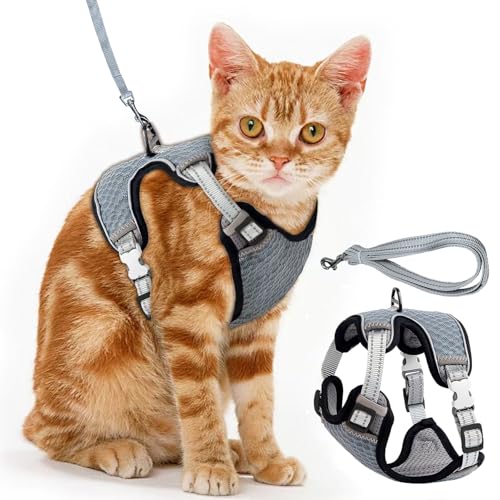 Brustgeschirr Cat, Verstellbares Katzengeschirr Ausbruchsicher Katzenleine Set, Verstellbar weich Kätzchenweste Katze Brustgeschirr mit Reflektierend Streifen & Atmungsaktiv Netzgewebe (Grau, S) von Vuemhjaey