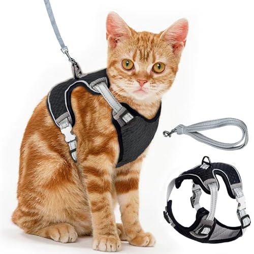 Brustgeschirr Cat, Verstellbares Katzengeschirr Ausbruchsicher Katzenleine Set, Verstellbar weich Kätzchenweste Katze Brustgeschirr mit Reflektierend Streifen & Atmungsaktiv Netzgewebe (Schwarz, S) Brustgeschirr Cat, Verstellbares Katzengeschirr Ausbruchsicher Katzenleine Set, Verstellbar weich Kätzchenweste Katze Brustgeschirr mit Reflektierend Streifen & Atmungsaktiv Netzgewebe (Schwarz, S) von Vuemhjaey