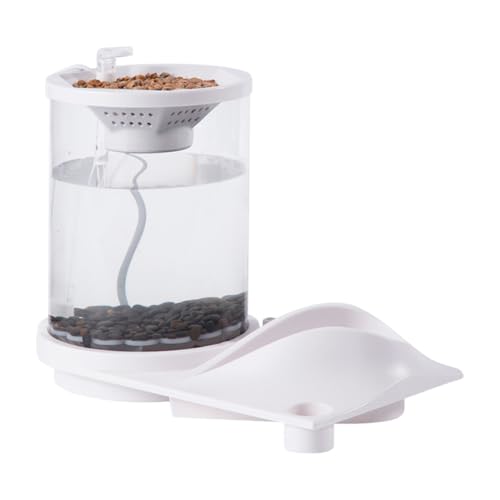 Vuggdt Desktop Betta Fish Tank – Selbstpflegendes, leises Fischglas mit Filtersystem – kleines aquaponisches Hydrokultur-Aquarium-Ökosystem für Zuhause, Fischgeschäft, Wohnung, Arbeitsplatz Vuggdt Desktop Betta Fish Tank – Selbstpflegendes, leises Fischglas mit Filtersystem – kleines aquaponisches Hydrokultur-Aquarium-Ökosystem für Zuhause, Fischgeschäft, Wohnung, Arbeitsplatz von Vuggdt