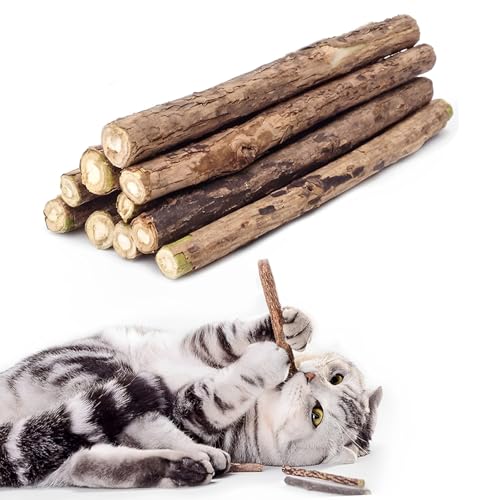 Vunpok 10 Stück Katzenminze Sticks, Katzenminze Spielzeug, Kauholz für Katzen, Gegen Mundgeruch, Kauspielzeug für Zahnpflege und gesunde Kaugewohnheiten Vunpok 10 Stück Katzenminze Sticks, Katzenminze Spielzeug, Kauholz für Katzen, Gegen Mundgeruch, Kauspielzeug für Zahnpflege und gesunde Kaugewohnheiten von Vunpok
