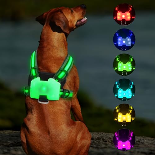 Hundegeschirr Leuchtend,Led Leuchtgeschirr Für Hunde,Leuchtendes Hundegeschirr,USB Aufladbar,Sieben Farben,Zwei Modi,Leuchtgeschirr Hund Für Große Mittelgroße Kleine Hunde(Large) von Vusddy